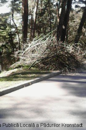 Zona Sprenghi 8_208336.jpg