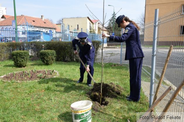 plantare pomi politie 06_207735.JPG