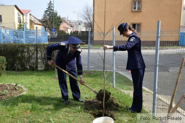 plantare pomi politie 10_207736.JPG