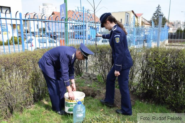 plantare pomi politie 18_207737.JPG