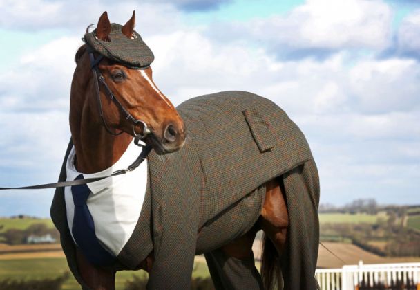 Cel mai elegant cal din lume poartă un costum de tweed! Nu e banc! 2 three-piece-tweed-horse-suit-emma-sandham-king-1_207339.jpg