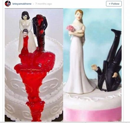 tort divort4_206499.jpg