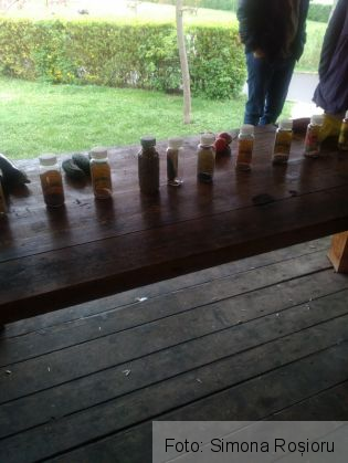 BRAŞOV. Acţiune INEDITĂ în Parcul „Trandafirilor” din Răcădău 4 IMG_20160410_163406_209390.jpg