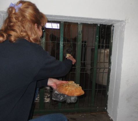 Libearty_-_Masha_from_Gyumri_wellcomed_with_bread_and_honey_