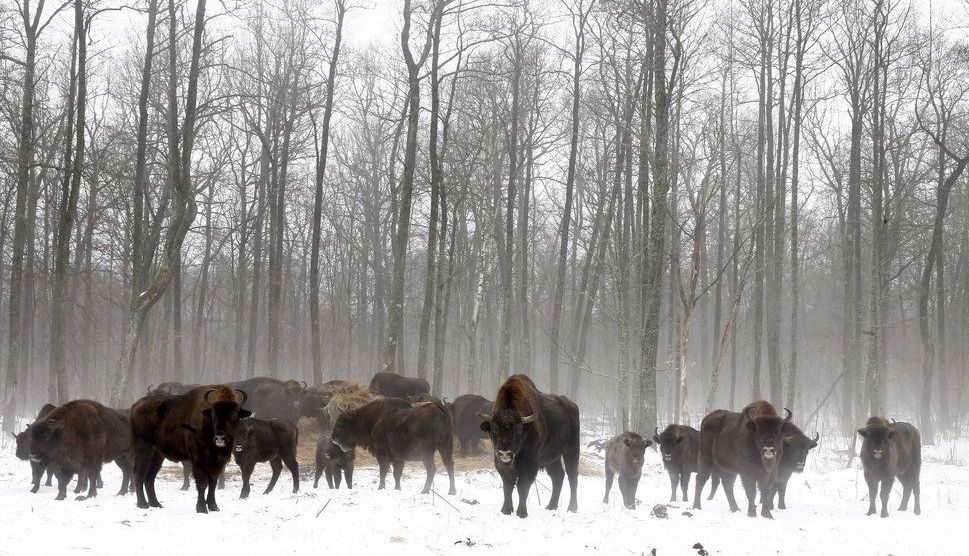 Viața în Cernobâl la 30 DE ANI după catastrofa nucleară!!! Galerie foto spectaculoasă... 3 cerno1.jpg