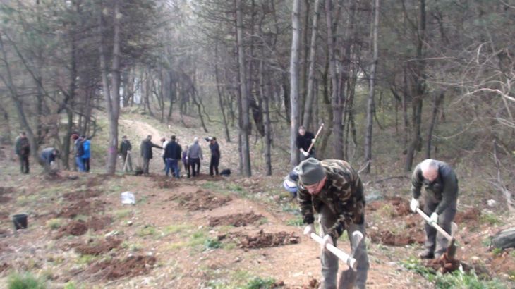 impadurire (2)_208773.JPG