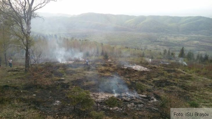 incendiu sinca 2_209318.jpg