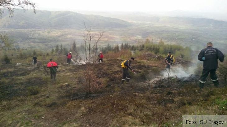 incendiu sinca_209320.jpg