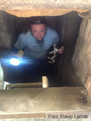 A coborât într-un mormânt, pentru a salva o pisică 4 pisica3_209348.jpg