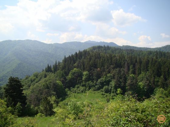 De pe Tampa_212754.jpg