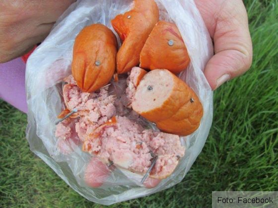 Cârnaţi cu cuie, lăsaţi momeală în zona IOR din Capitală! Iubitorii de animale sunt indignaţi (FOTO) 2 carnati cuie 2_212130.jpg