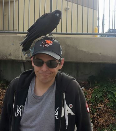 crow-befriends-man-canuck-1_213253.jpg