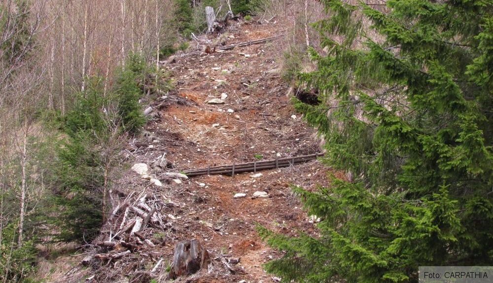 exempludereconstuctieprevenireeroziune-zonaplantatacupuietis