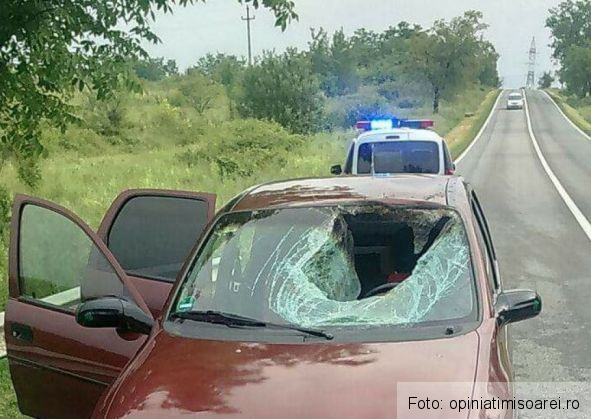 accident caprioara 2_214460.jpg