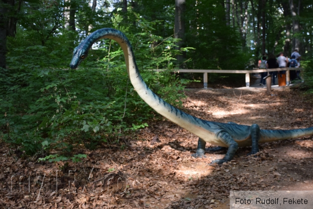 Dino Parc iun 080_185570.JPG