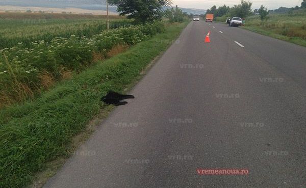 Asistentă UPU moartă într-un accident rutier! (FOTO) 2 accidentasistenta2.jpg