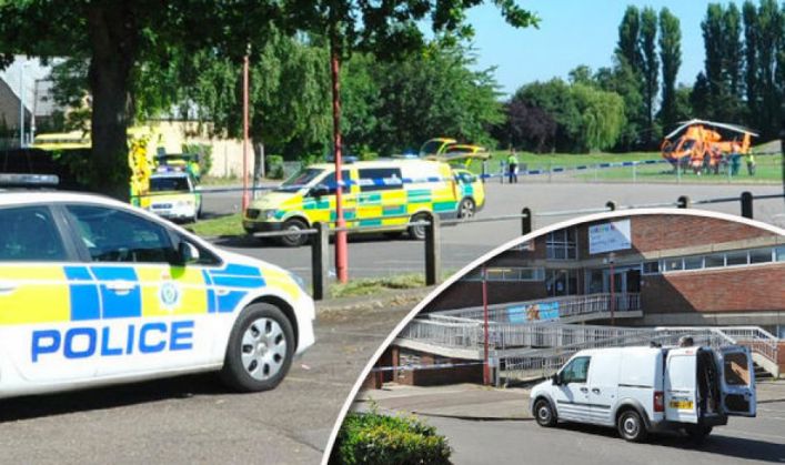 Dublă crimă urmată de sinucidere, la o piscină! (FOTO) 2 atac piscina 2_217131.jpg