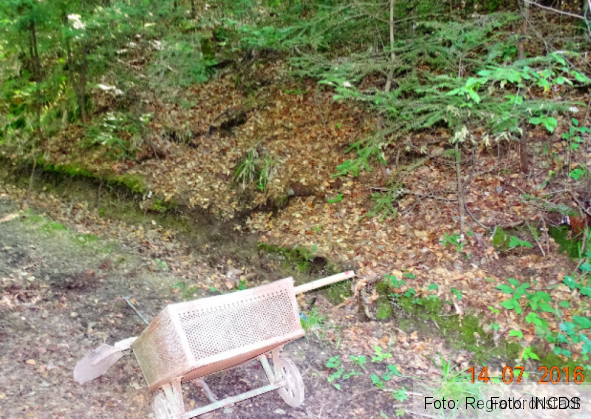 atac urs 2_216895.png