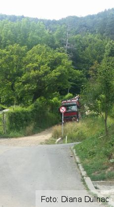 Mai mulți brașoveni se plâng că se defrișează Tâmpa! Răspunsul oficial: „Nu s-a tăiat nimic“ 2 copacitampa1_215992.jpg