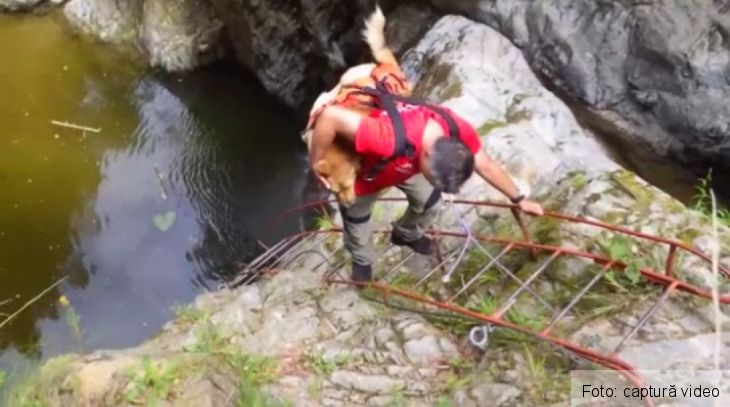 salvamont catel 3_217311.jpg