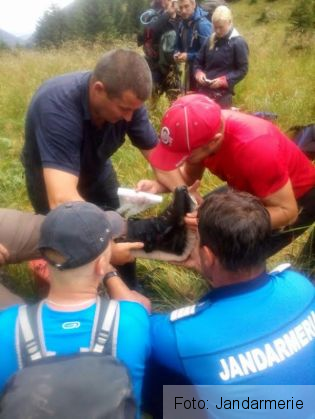BRAȘOV. Turistul maghiar rănit în Munții Făgăraș a fost coborât în siguranță la bază (FOTO) 4 turist ranit 2_217283.jpg