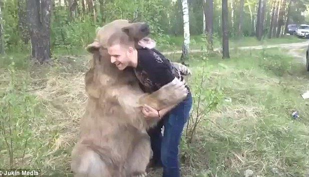 ÎNFRICOŞĂTOR. S-a luptat cu URSUL (FOTO) 2 urslupta.jpg