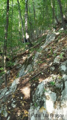 BRAŞOV. Două femei au fost salvate de pe... Tâmpa 2 IMG-20160802-WA0000_218251.jpg