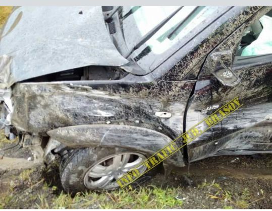 persani 2_219067.jpg