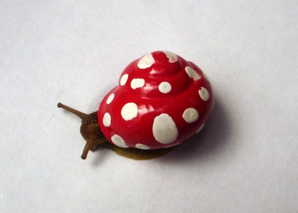 snailpimp5_219869.jpg