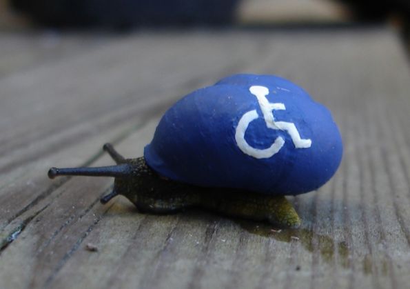 snailpimp7_219870.jpg