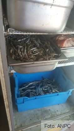 terasa mare 3_219355.jpg