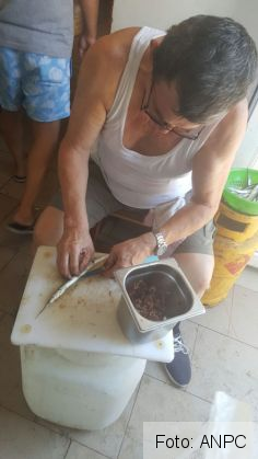 terasa mare 4_219357.jpg