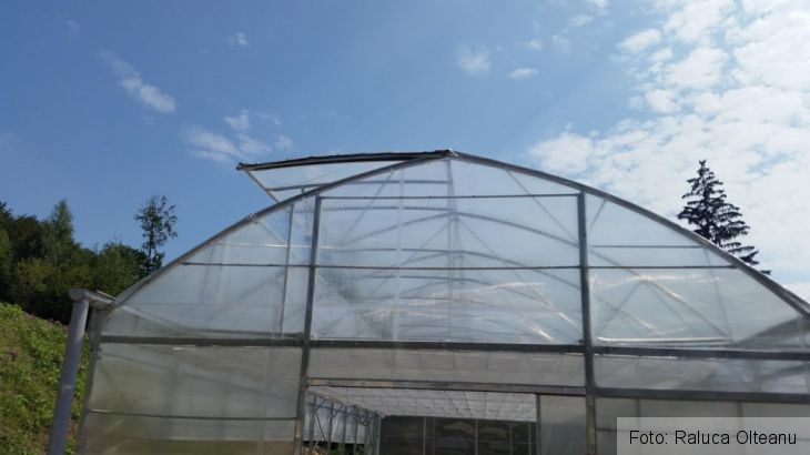 unnamed (2)_218919.jpg