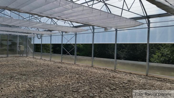 unnamed (4)_218920.jpg