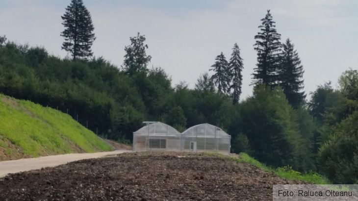 unnamed (9)_218924.jpg