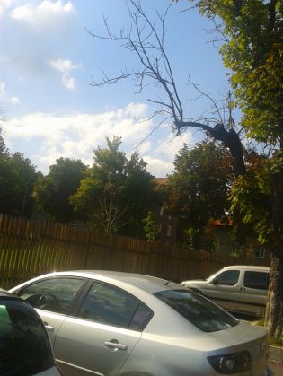 BRAŞOV. Pericol de accidente pe strada Şirul Livezii 2 2016-09-18 14.46.56_222543.jpg