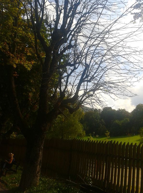 BRAŞOV. Pericol de accidente pe strada Şirul Livezii 4 2016-09-1814-46-01.jpg