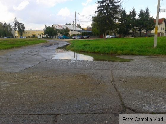 2016-09-23 15.38.14_222863.jpg