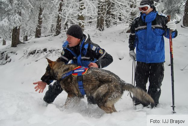 BI 01 din 19.01.2016 - foto1_202951.jpg