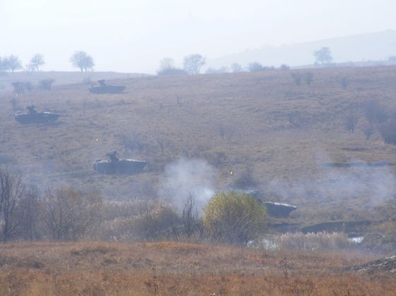 Picture 173_224145.jpg