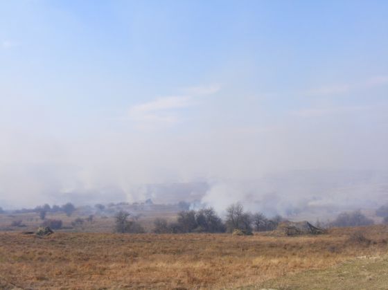 Picture 205_224143.jpg