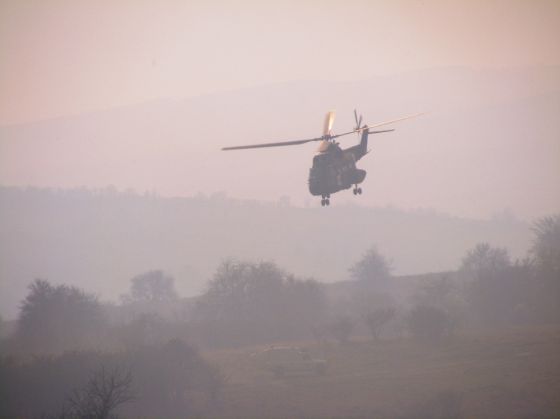 Picture 317_224148.jpg