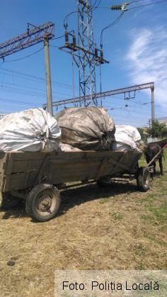 deseuri brasov 2_223976.jpg