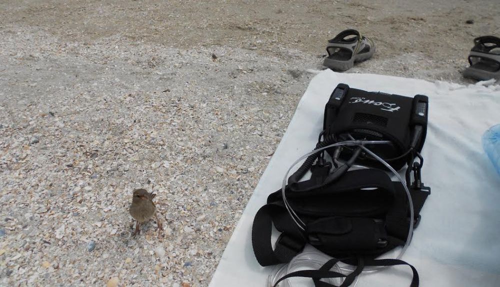 O BRAȘOVEANCĂ de 32 de ani are nevoie de ajutorul nostru 2 oxigen.jpg