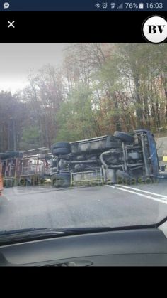 tir valea bogatii_224348.jpg