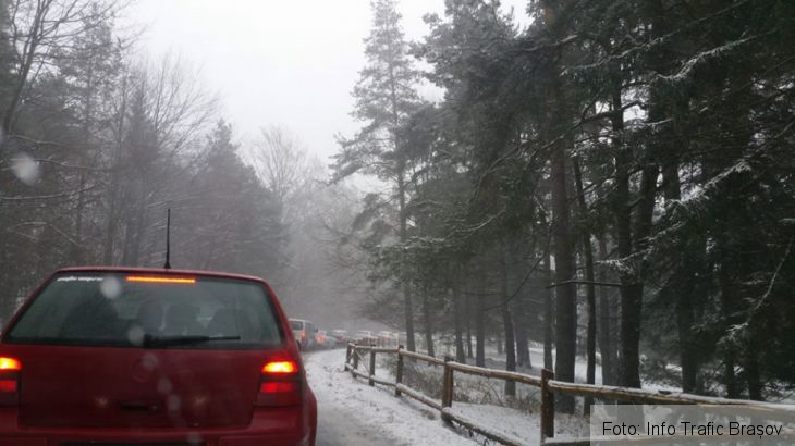 brad cazut 2_225325.jpg