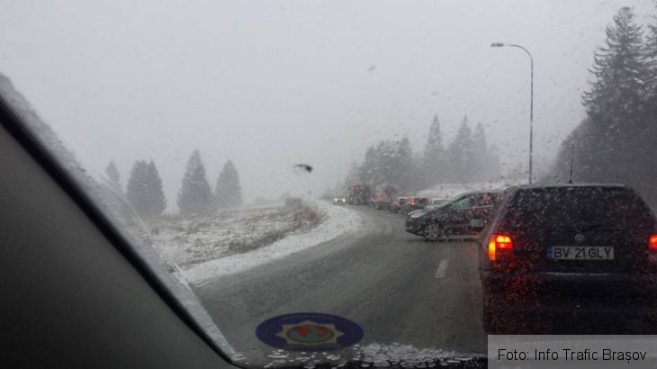 brad cazut 3_225323.jpg