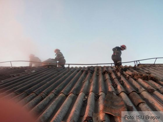 foc ferma_226793.jpg