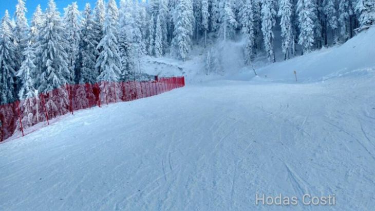 partie poiana 2_226831.jpg