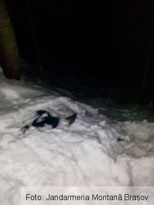 BRAȘOV. A fost descoperit un cadavru în zăpadă, la 7 Scări. FOTO 3 IMG-20170113-WA0001_229095.jpg